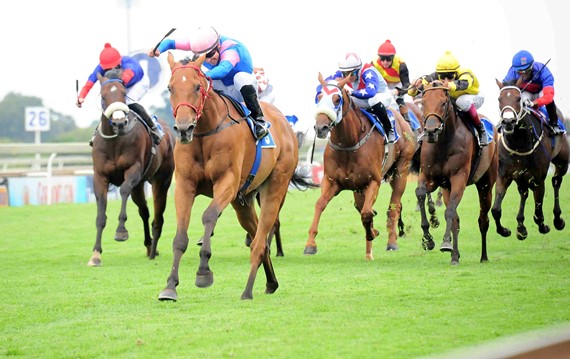 Capt America wins Horse Chestnut Stakes
