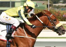 Noordhoek Flyer stands at Gary Player Stud.