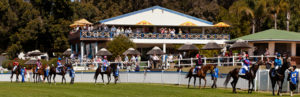 Durbanville Racecourse (photo: hamishNIVENPhotography)