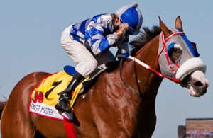 Past Master won the Gr2 Diadem Stakes over 1200m last season