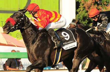 The Apache – won his only previous start over 1600m at Turffontein