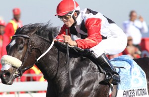 Dual Gr1 winner Princess Victoria is rated well clear of her opposition.
