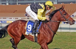 Graham Beck Stakes third Brooks-Club commands a nice turn of foot.