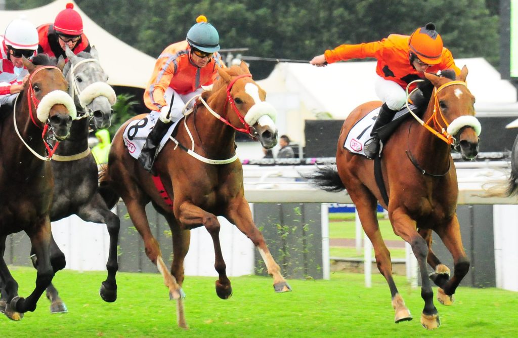 Typical! Demanding Lady (orange and black silks) gets up to win the Gr2 Ipi Tombe Challenge under Chase Maujean