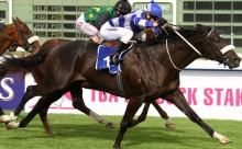 Green for a Queen! Piere Strydom steers Gimmethegreenlight to a Gr1 win.