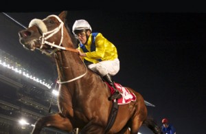 Master of Hounds (Kevin Shea) wins the Jebel Hatta (Photographer: Andrew Watkins)
