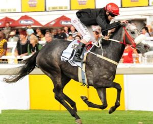 Ilha Bela wins Oaks