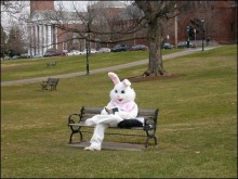 easter-bunny-on-break