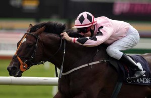 pathfork_w_racing Pathfork, highest rated 2yo in Ireland