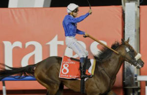 race 9 dubai world cup