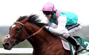 Frankel - a champion of the turf
