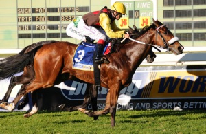 Former Snaith galloper Why Worry looks the danger