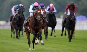 Frankel sprints well clear of his rivals to easily win the Queen Anne Stakes at Royal Ascot on Tuesday.
