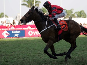 Seal Wins Gold Vase