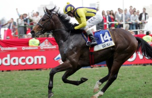 War Horse wins Golden Horseshoe