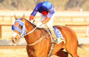 Sand racing at Vaal is a hit