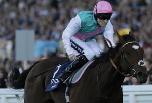 The Equine Superman. Frankel wins his penultimate start