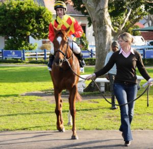 northern heritage champagne lead in