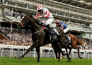 Sole Power - Ireland's Horse Of The Year