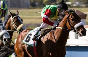 Changingoftheguard seen winning the Matchem in 2012