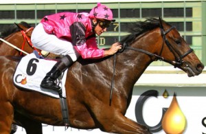 chesalon-gr3-premier-trophy-k111210-web