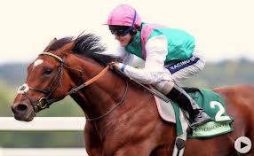 The champion - Frankel 