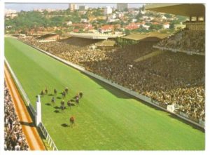 Greyville. All seems well again and racing goes on