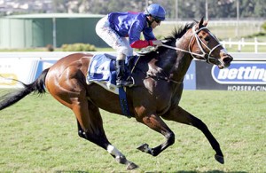 The Noose Tightens - Piere Strydom rides Tarry's classy The Hangman in the Gr3 Graham Beck Stakes