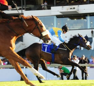 Fest of fire wins starling