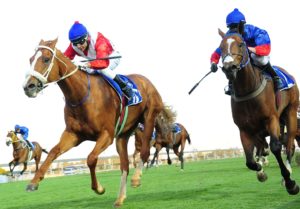 Francois Bernardus wins Graham Beck stakes