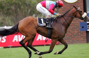 Love Struck wins Guineas Trial