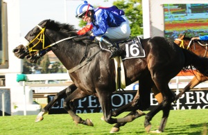 Mujaarib wins Charity Mile 2012