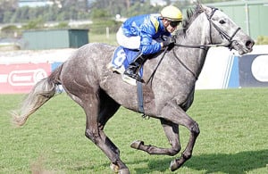 Pessoa. Power galloper who could find his best form again