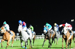 Variometer wins gardenia handicap