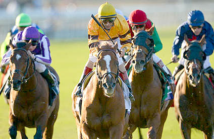 Wise Dan wins the Breeders' Cup Mile