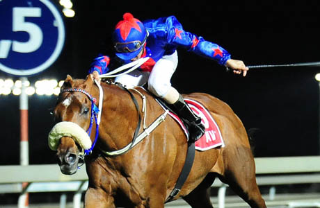 Zambucca-gr2-victory-moon-stakes-t121116-1