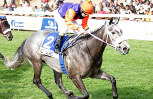 all-is-secret-gr1-allan-robertson-championship-s120526_web