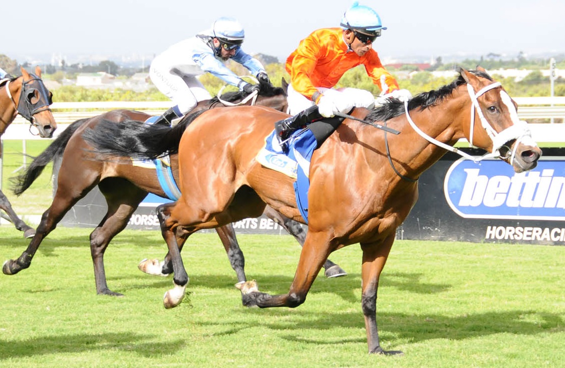 pic of badger lake winning dville cup 24 nov 12