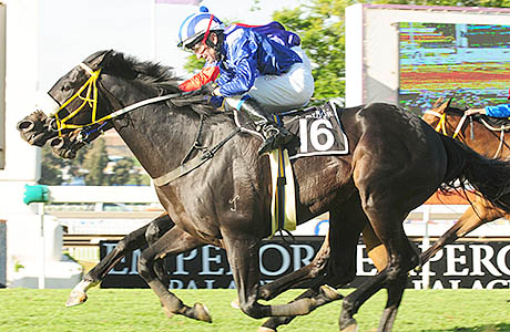 Emperors Palace Charity Mile winner Mujaarib