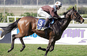 Former KZN stakes galloper Murmering Sky could find her feet over the mile