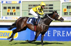 Ct Noir wins Guineas