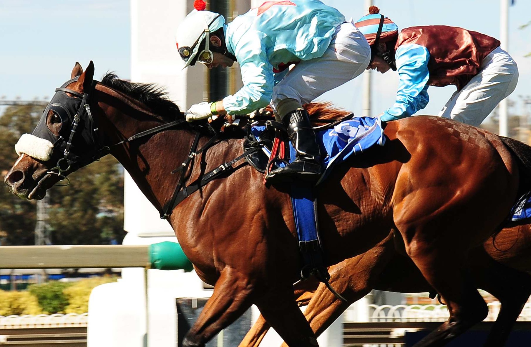 Herholdt gets Fantastic Mr Fox up to win the R135 000 Listed