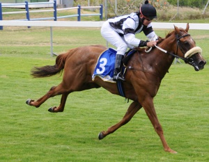 Leta Bonnet first for Rebel King
