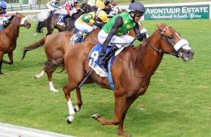 The West Is Wde wins the Listed Southeaster