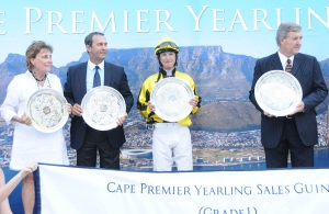 guineas presentation