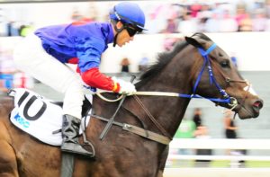 Jackodore seen  winning the Joburg Merchants