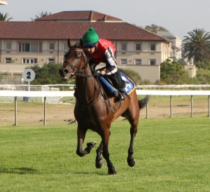 Ladies Day? The only female in the race, Beach Beauty drew 11