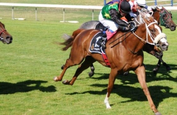 Blueridge Mountain wins Sceptre Stakes