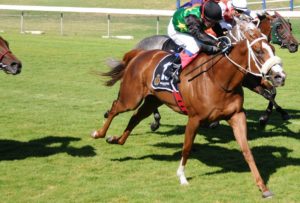 Blueridge Mountain wins Sceptre Stakes