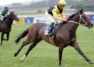 Franny wins african holly